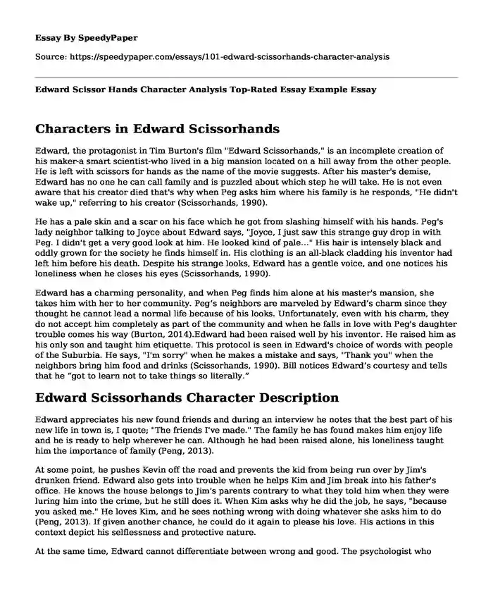 Edward Scissor Hands Character Analysis  Top-Rated Essay Example