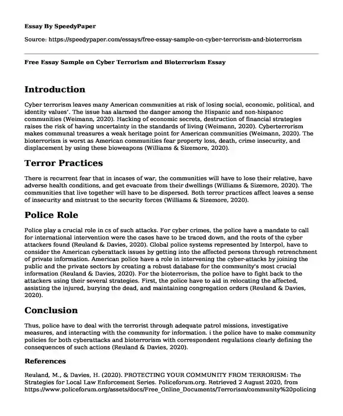 Free Essay Sample on Cyber Terrorism and Bioterrorism