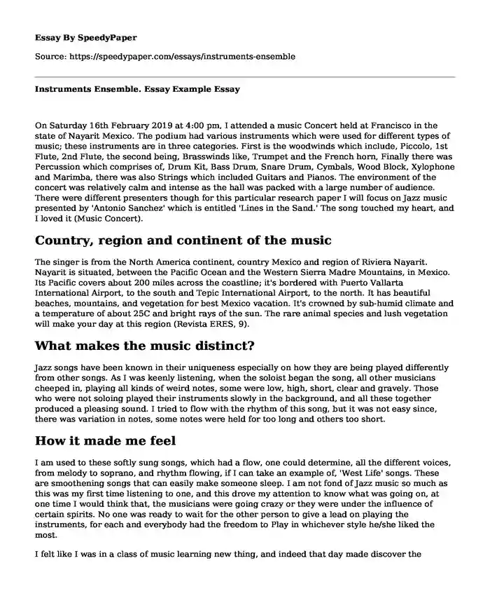 Instruments Ensemble. Essay Example