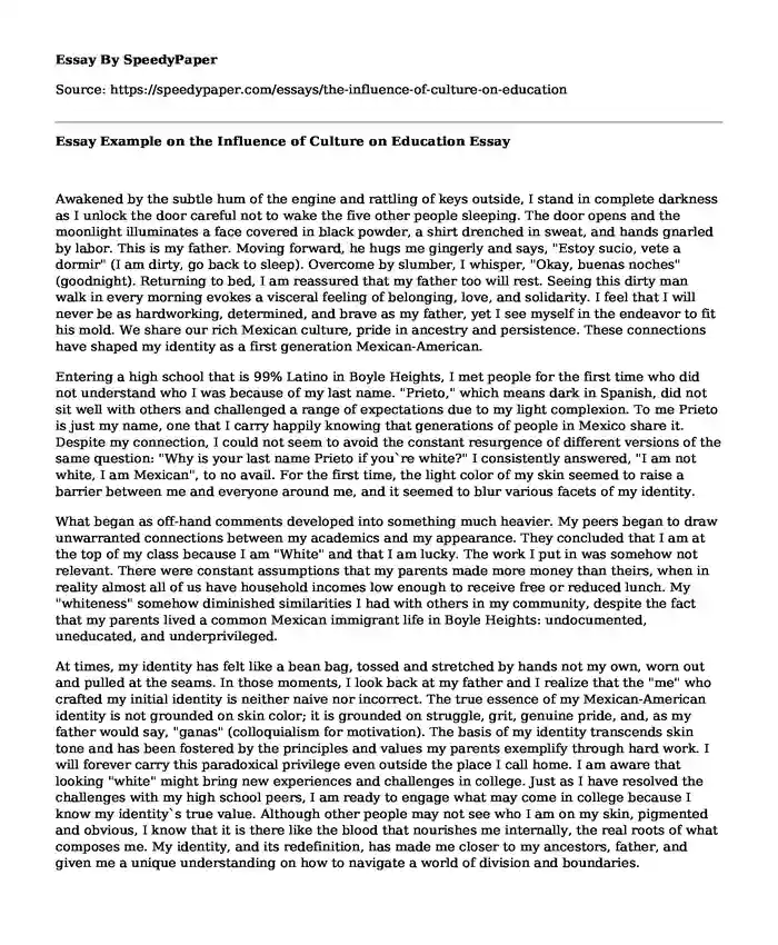 Essay Example on the Influence of Culture on Education