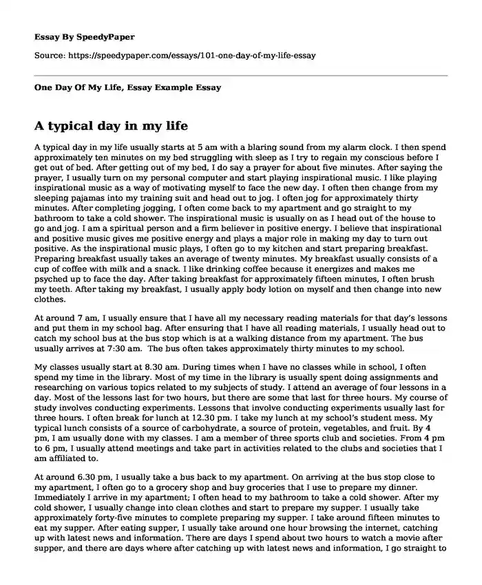 One Day Of My Life, Essay Example