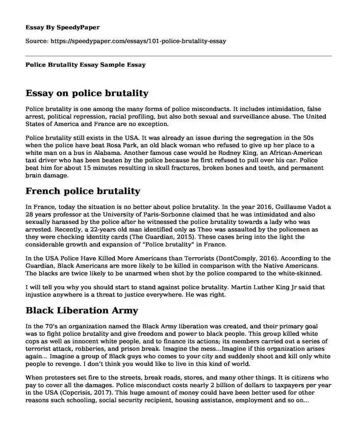 Police Brutality Essay Sample
