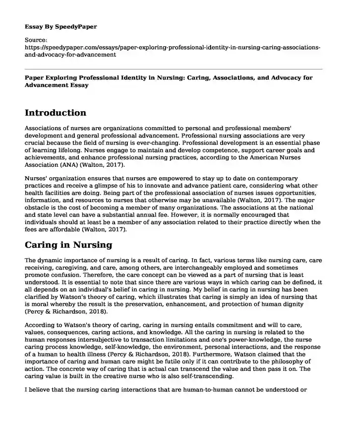 Paper Exploring Professional Identity in Nursing: Caring, Associations, and Advocacy for Advancement