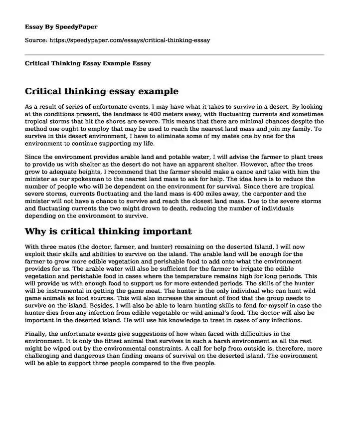 Critical Thinking Essay Example
