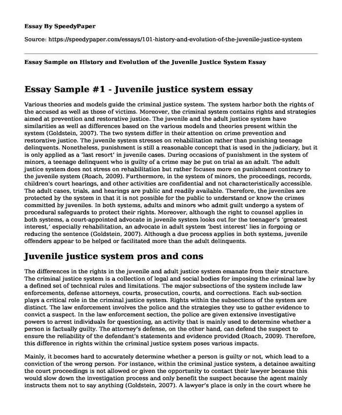 Essay Sample on History and Evolution of the Juvenile Justice System