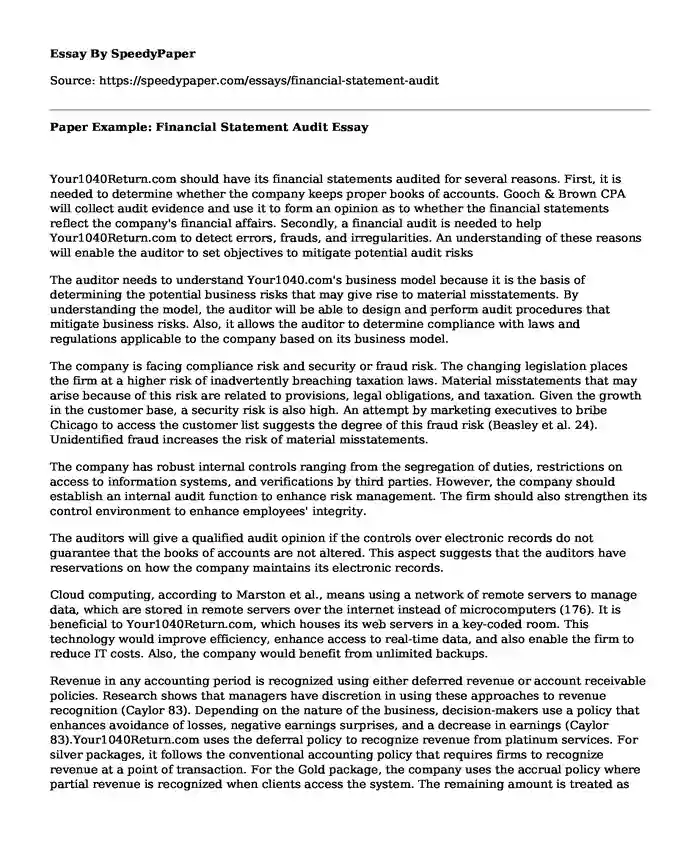 Paper Example: Financial Statement Audit