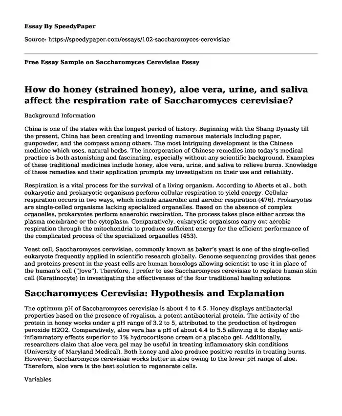 Free Essay Sample on Saccharomyces Cerevisiae