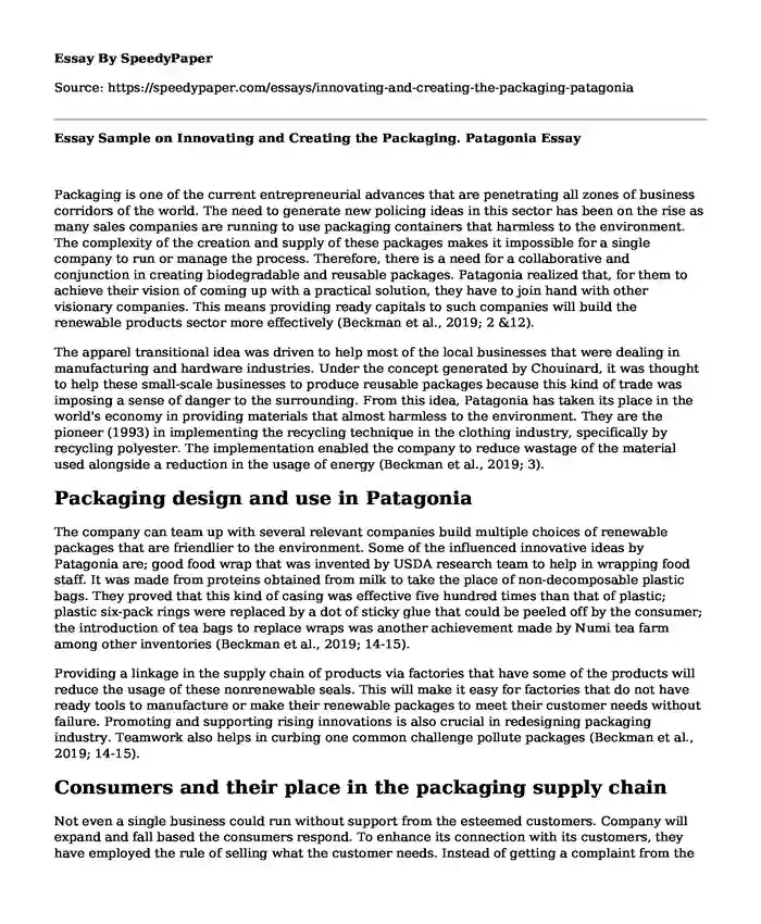 Essay Sample on Innovating and Creating the Packaging. Patagonia