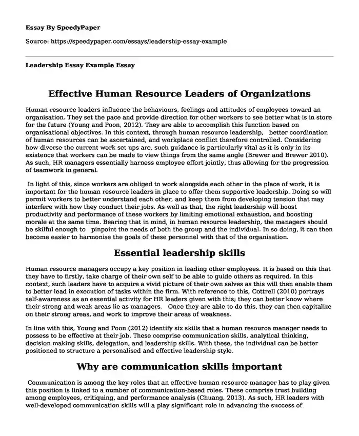 Leadership Essay Example 