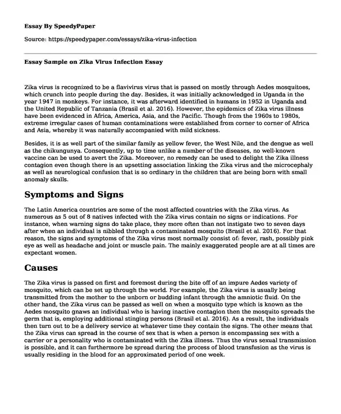 Essay Sample on Zika Virus Infection