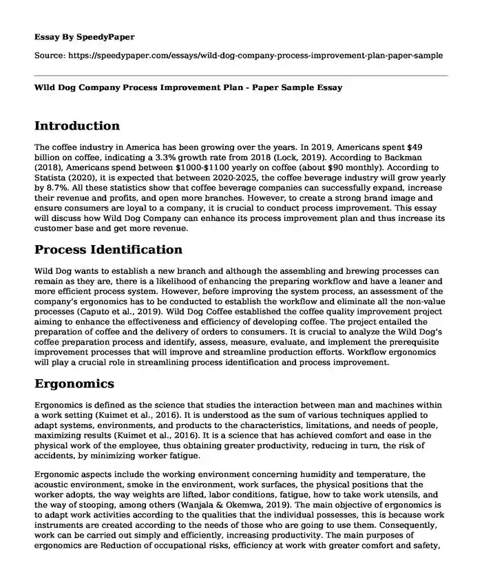 Wild Dog Company Process Improvement Plan - Paper Sample