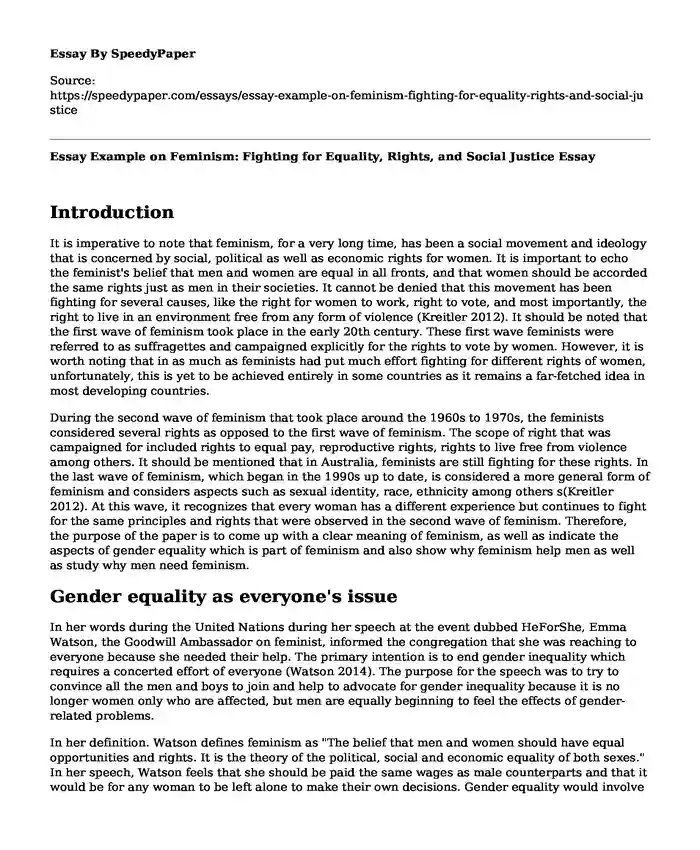 Essay Example on Feminism: Fighting for Equality, Rights, and Social Justice