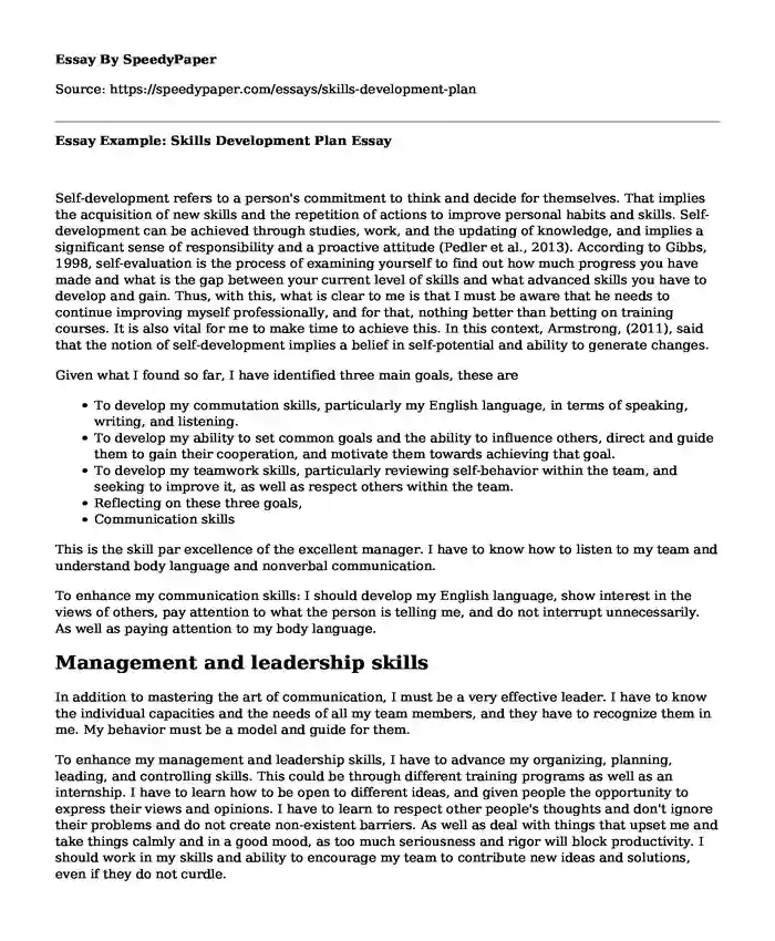 Essay Example: Skills Development Plan