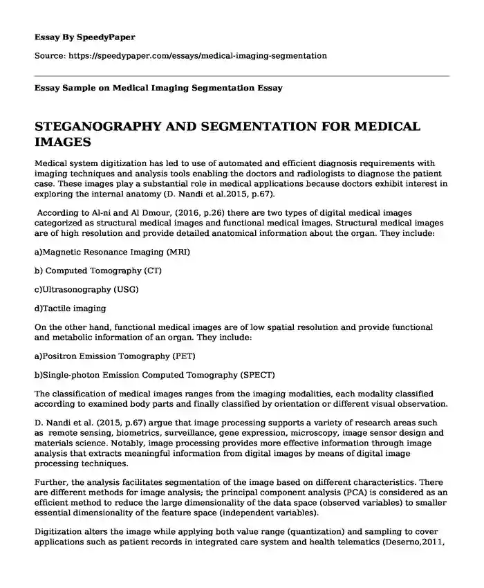 Essay Sample on Medical Imaging Segmentation