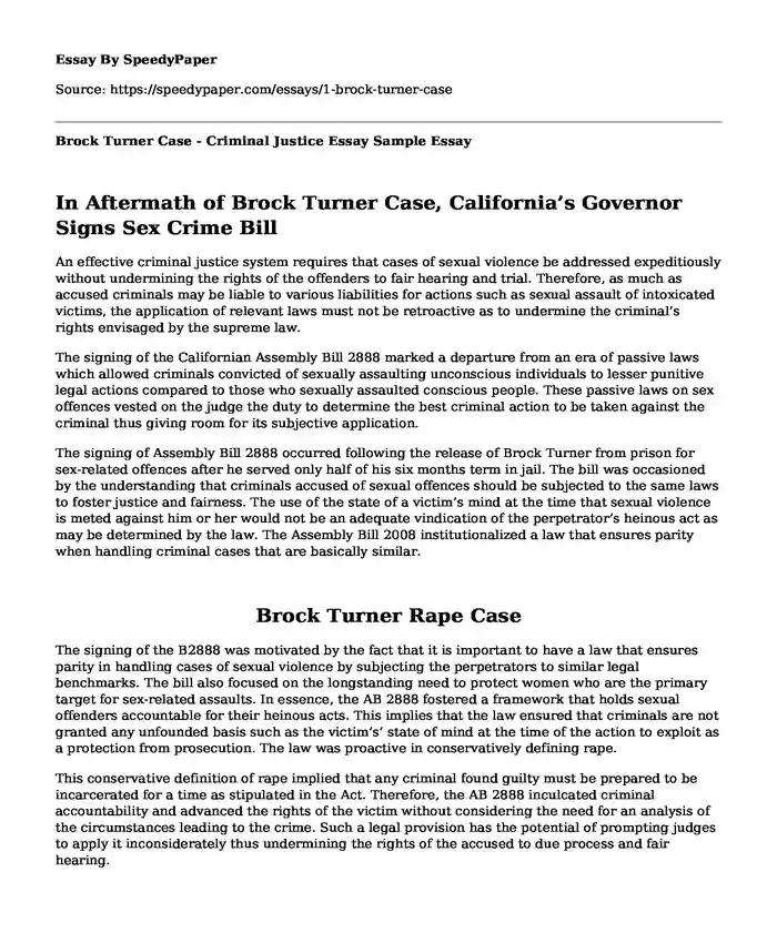Brock Turner Case - Criminal Justice Essay Sample