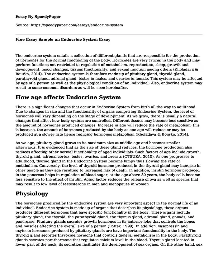 Free Essay Sample on Endocrine System