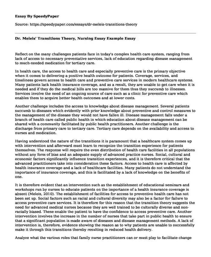 Dr. Meleis' Transitions Theory, Nursing Essay Example