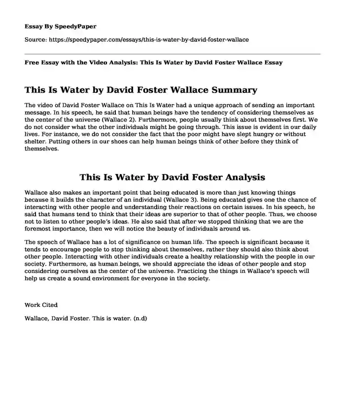 Free Essay with the Video Analysis: This Is Water by David Foster Wallace