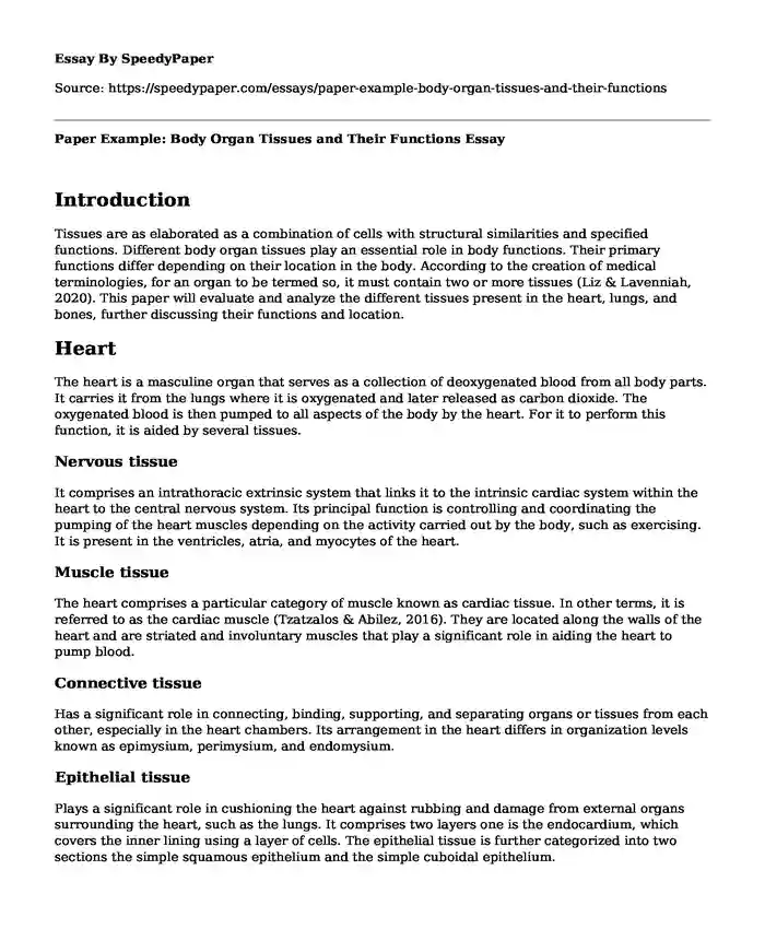 Paper Example: Body Organ Tissues and Their Functions