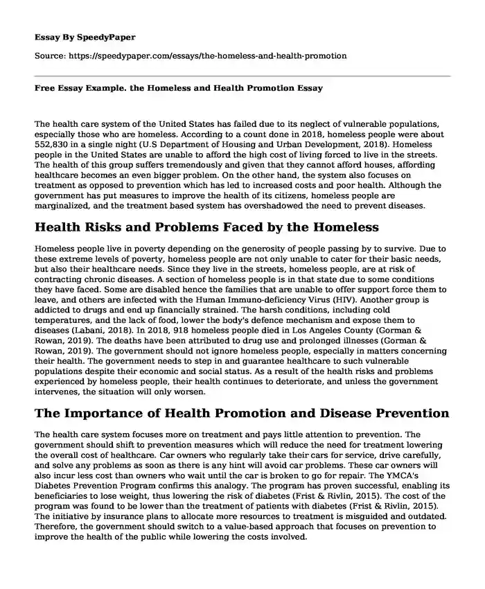 Free Essay Example. the Homeless and Health Promotion