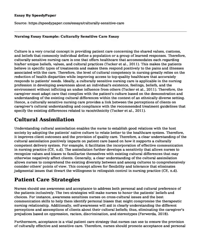 Nursing Essay Example: Culturally Sensitive Care