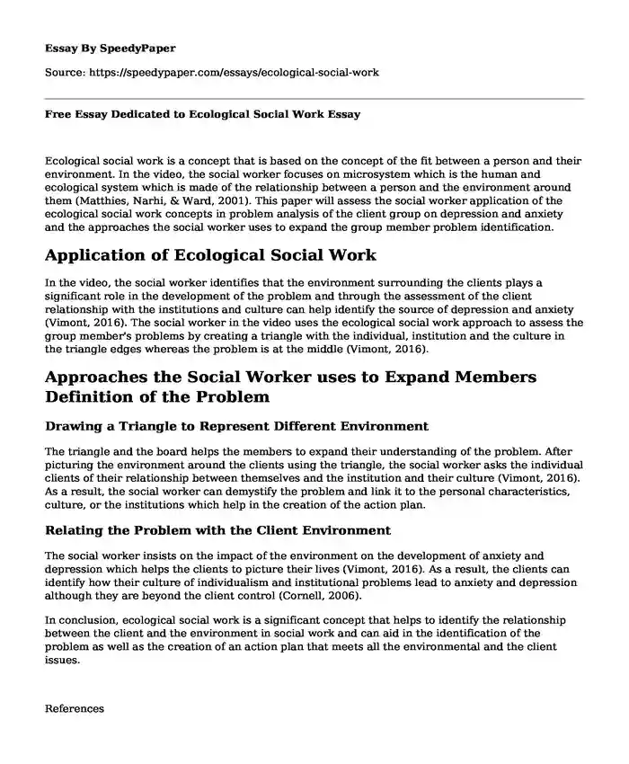 Free Essay Dedicated to Ecological Social Work
