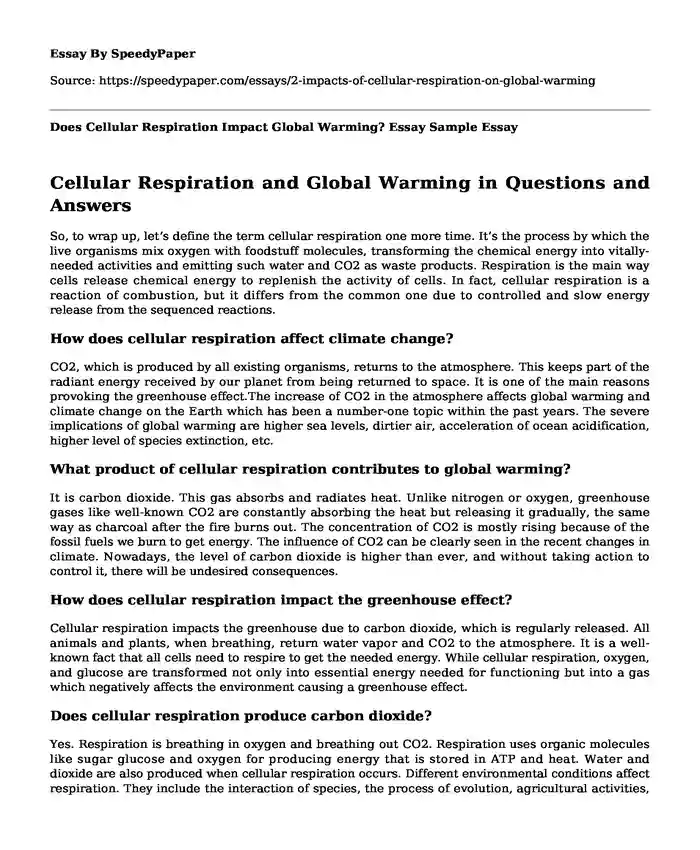 Does Cellular Respiration Impact Global Warming? Essay Sample