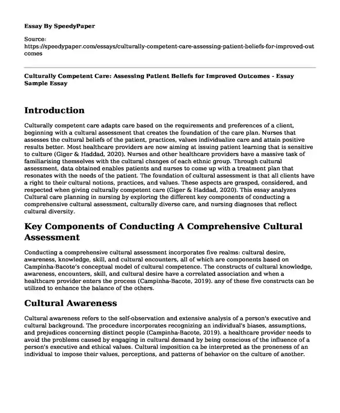 Culturally Competent Care: Assessing Patient Beliefs for Improved Outcomes - Essay Sample