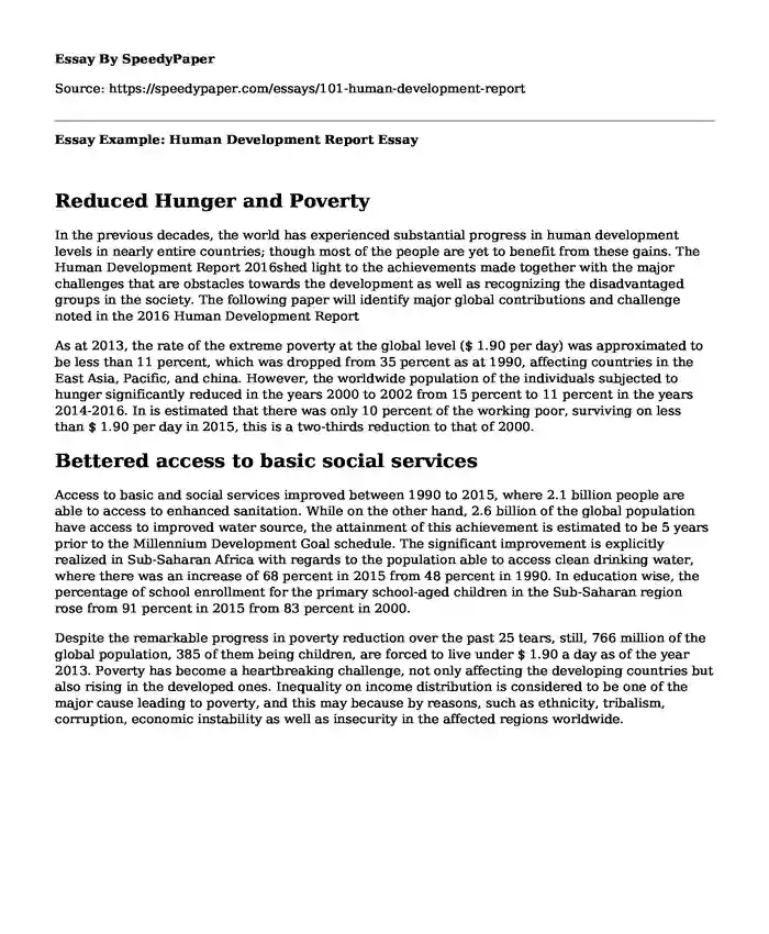 Essay Example: Human Development Report