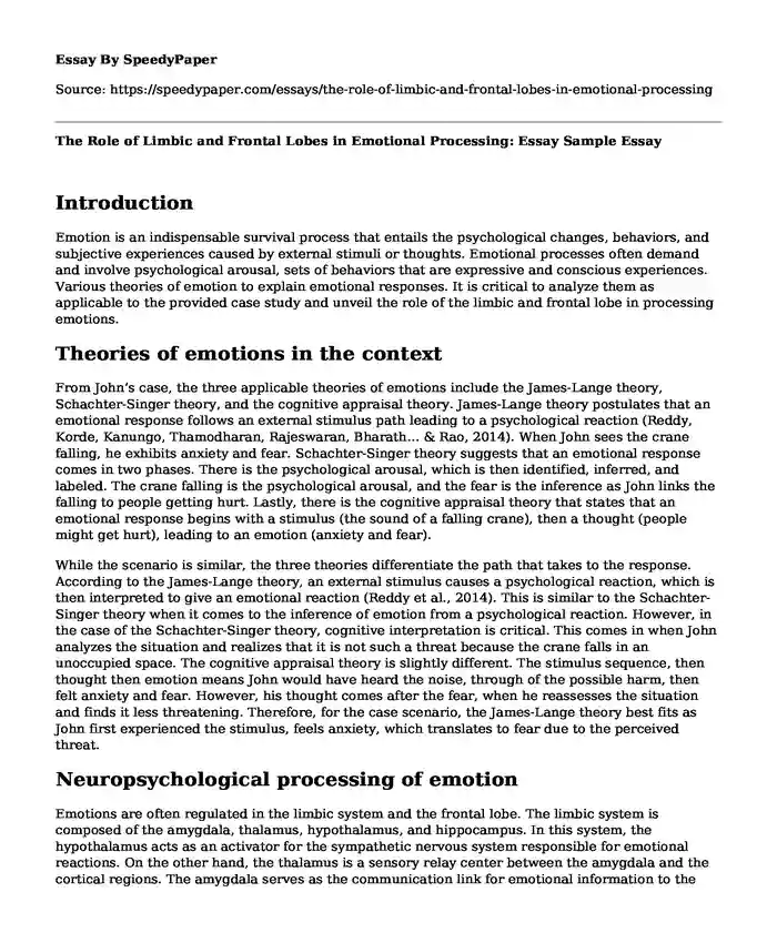 The Role of Limbic and Frontal Lobes in Emotional Processing: Essay Sample