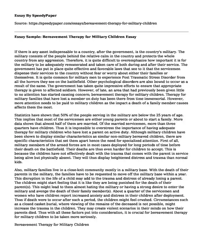 Essay Sample: Bereavement Therapy for Military Children