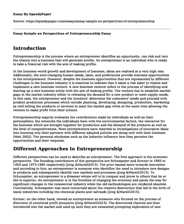 Essay Sample on Perspectives of Entrepreneurship