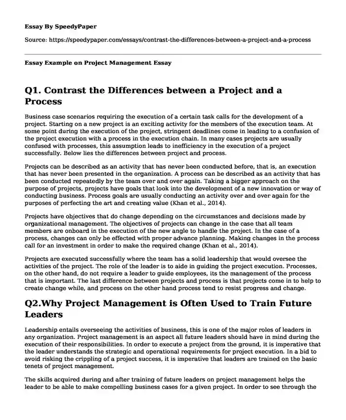 Essay Example on Project Management
