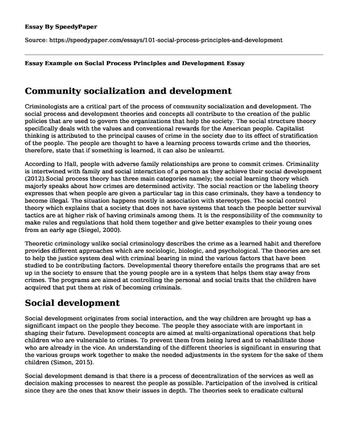 Essay Example on Social Process Principles and Development