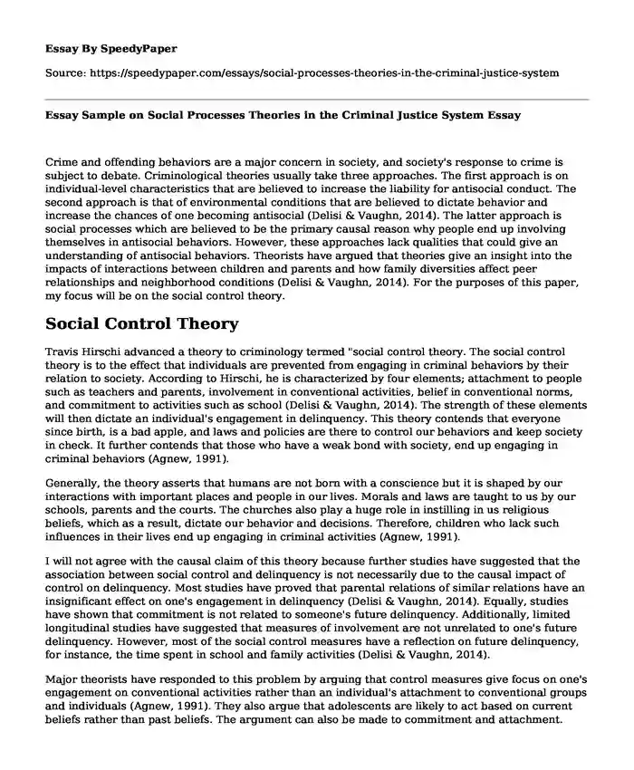 Essay Sample on Social Processes Theories in the Criminal Justice System
