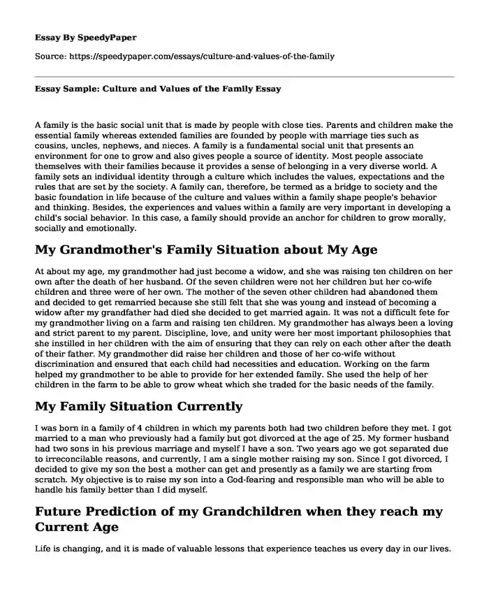 Essay Sample: Culture and Values of the Family