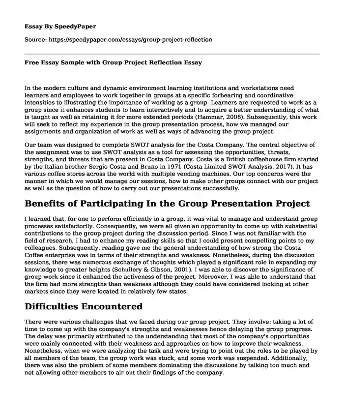 Free Essay Sample with Group Project Reflection