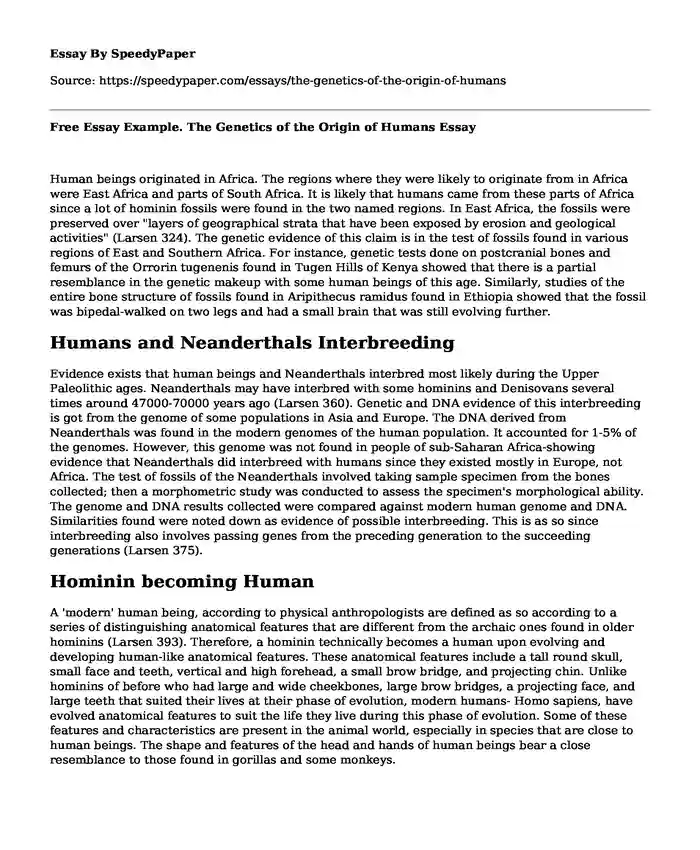 Free Essay Example. The Genetics of the Origin of Humans